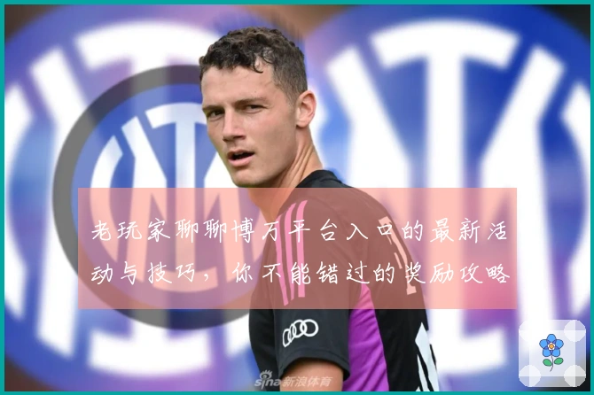老玩家聊聊博万平台入口的最新活动与技巧，你不能错过的奖励攻略！